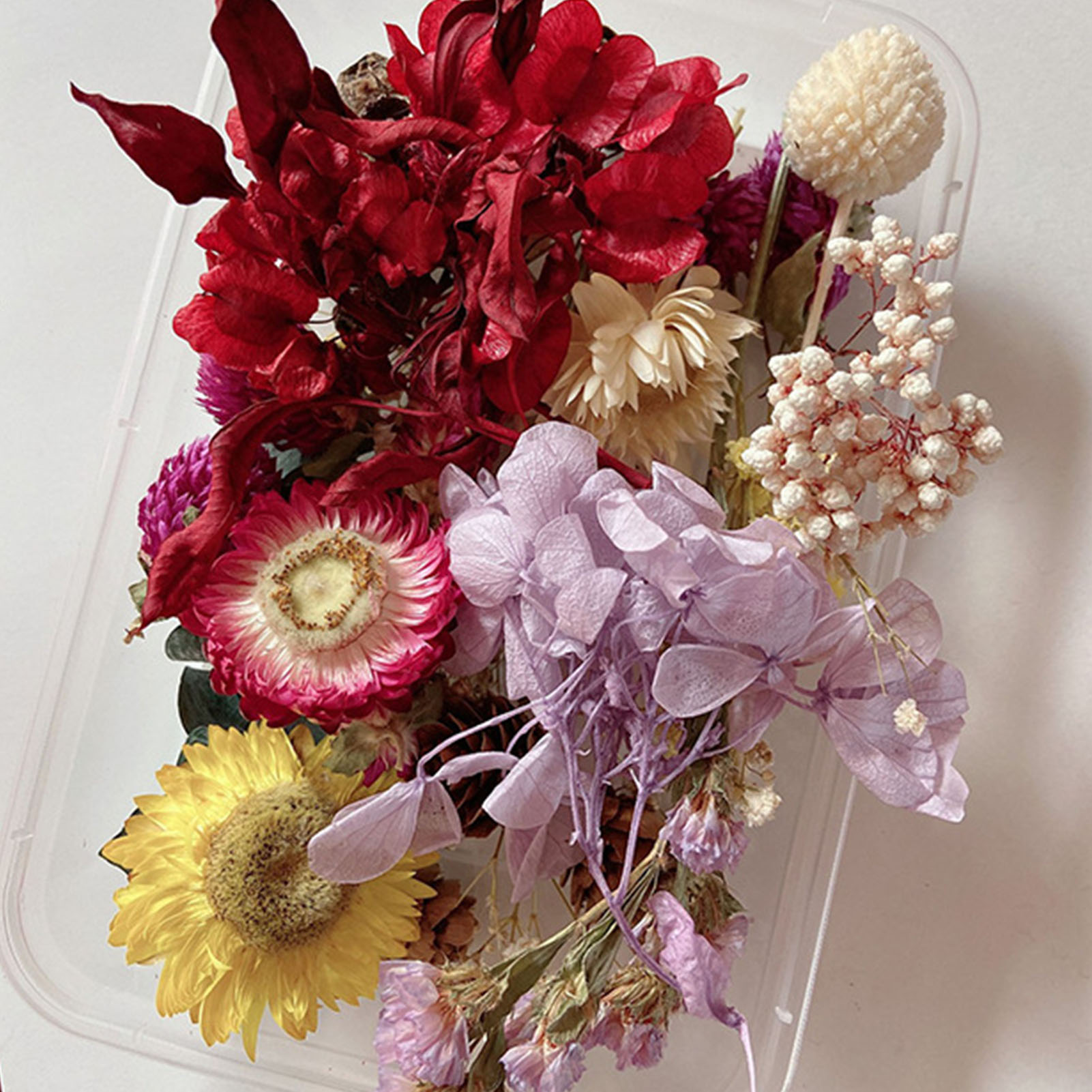 Kit di fiori secchi naturali o - Candle Making Diy Kit recensione e prezzo
