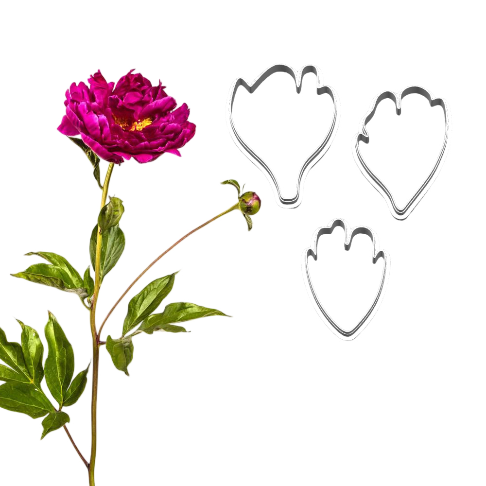 Nuovi Stampi e Taglierine in S - Candle Making Workshop recensione e prezzo